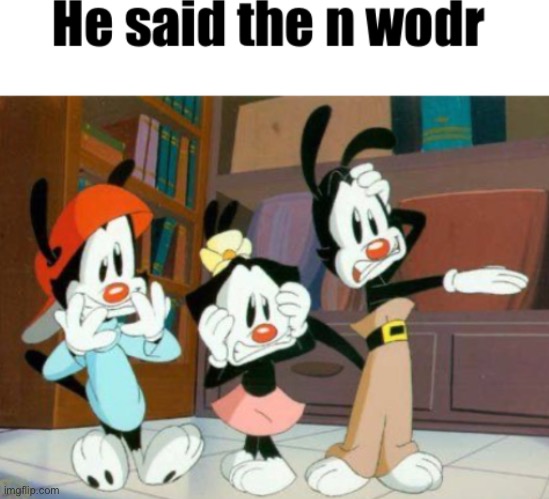 He said the n wodr | image tagged in he said the n wodr | made w/ Imgflip meme maker