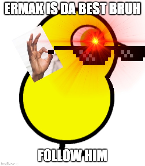 Duck | ERMAK IS DA BEST BRUH; FOLLOW HIM | image tagged in duck | made w/ Imgflip meme maker