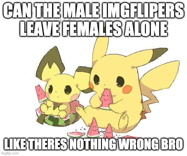 Pichu and Pikachu eating watermelons | CAN THE MALE IMGFLIPERS LEAVE FEMALES ALONE; LIKE THERES NOTHING WRONG BRO | image tagged in pichu and pikachu eating watermelons | made w/ Imgflip meme maker