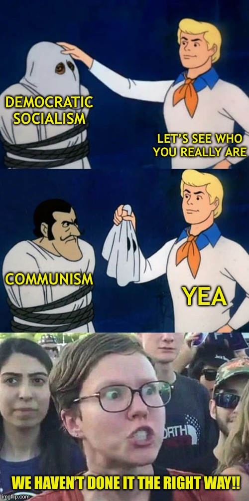 Lol | DEMOCRATIC SOCIALISM; LET’S SEE WHO YOU REALLY ARE; COMMUNISM; YEA; WE HAVEN’T DONE IT THE RIGHT WAY!! | image tagged in scooby doo mask reveal,triggered liberal,democrats,democratic socialism | made w/ Imgflip meme maker