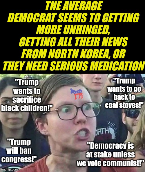 Do DEMOCRATS VERIFY ANYTHING they read online? Because there are some crazy beliefs out there lately... | THE AVERAGE DEMOCRAT SEEMS TO GETTING MORE UNHINGED, GETTING ALL THEIR NEWS FROM NORTH KOREA, OR THEY NEED SERIOUS MEDICATION; "Trump wants to sacrifice black children!"; "Trump wants to go back to coal stoves!"; "Trump will ban congress!"; "Democracy is at stake unless we vote communist!" | image tagged in triggered liberal,lying,crying democrats,biased media,social media,idiots | made w/ Imgflip meme maker