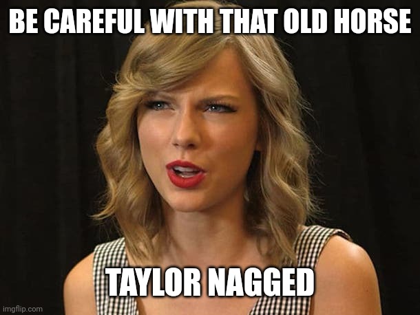 Taylor nagged | BE CAREFUL WITH THAT OLD HORSE; TAYLOR NAGGED | image tagged in taylor swiftie | made w/ Imgflip meme maker