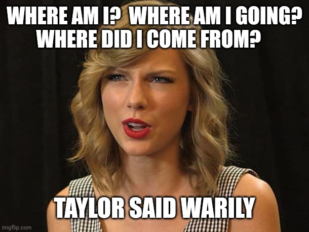 Taylor said warily | WHERE AM I?  WHERE AM I GOING?
WHERE DID I COME FROM? TAYLOR SAID WARILY | image tagged in taylor swiftie | made w/ Imgflip meme maker