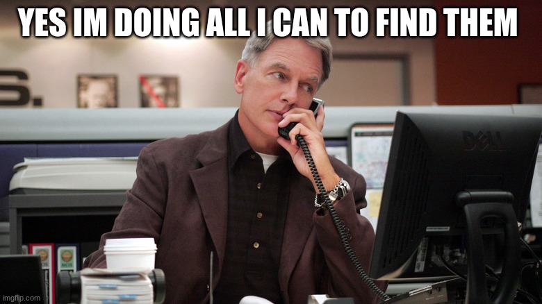 gibbs | YES IM DOING ALL I CAN TO FIND THEM | image tagged in gibbs | made w/ Imgflip meme maker