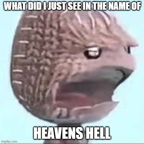 What The Hell Was That | WHAT DID I JUST SEE IN THE NAME OF; HEAVENS HELL | image tagged in fun,see,eye | made w/ Imgflip meme maker