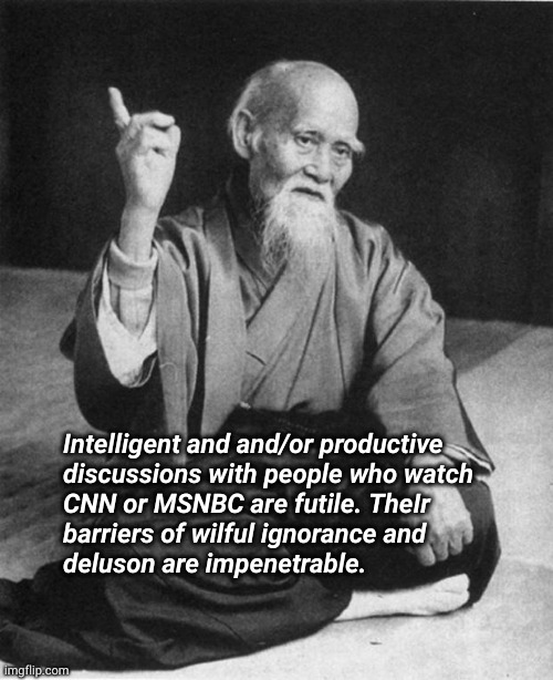 Intelligent and and/or productive discussions with people who watch CNN or MSNBC are futile | Intelligent and and/or productive
discussions with people who watch
CNN or MSNBC are futile. TheIr
barriers of wilful ignorance and
deluson are impenetrable. | image tagged in wise master,fake news,wilful ignorance,delusion,far left democrats | made w/ Imgflip meme maker