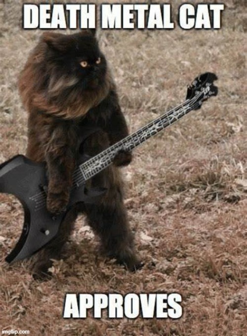 death metal | image tagged in death metal | made w/ Imgflip meme maker