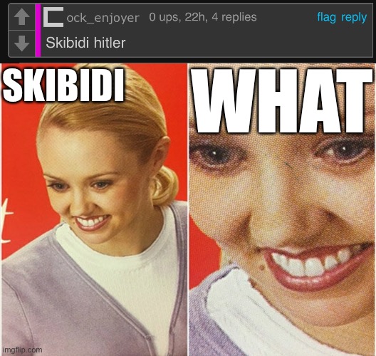 WHAT; SKIBIDI | image tagged in wait what | made w/ Imgflip meme maker