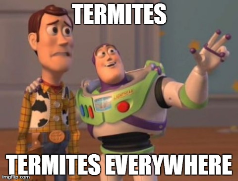 X, X Everywhere Meme | TERMITES TERMITES EVERYWHERE | image tagged in memes,x x everywhere | made w/ Imgflip meme maker