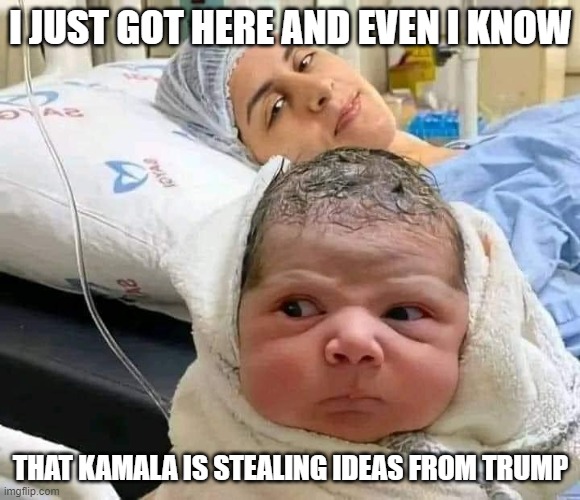 Newborn knows | I JUST GOT HERE AND EVEN I KNOW; THAT KAMALA IS STEALING IDEAS FROM TRUMP | image tagged in newborn mad,kamala | made w/ Imgflip meme maker