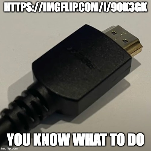 HDMI Cable | HTTPS://IMGFLIP.COM/I/90K3GK; YOU KNOW WHAT TO DO | image tagged in hdmi cable | made w/ Imgflip meme maker