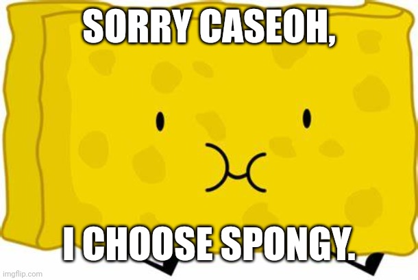 Spongy BFDI | SORRY CASEOH, I CHOOSE SPONGY. | image tagged in spongy bfdi | made w/ Imgflip meme maker