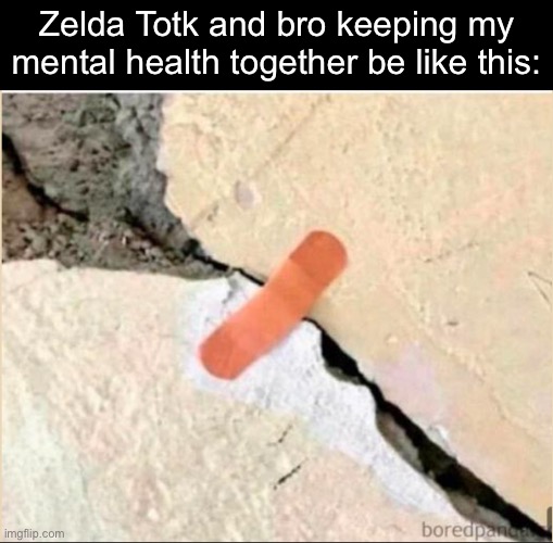 . | Zelda Totk and bro keeping my mental health together be like this: | image tagged in bandaid | made w/ Imgflip meme maker