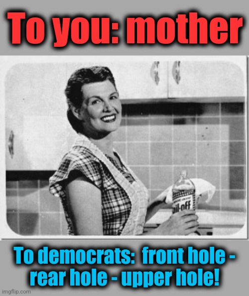 They don't know what a woman is | To you: mother; To democrats:  front hole -
rear hole - upper hole! | image tagged in vintage woman cooking,memes,woman,mother,democrats | made w/ Imgflip meme maker