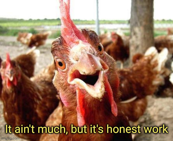 Chicken | It ain't much, but it's honest work | image tagged in chicken | made w/ Imgflip meme maker