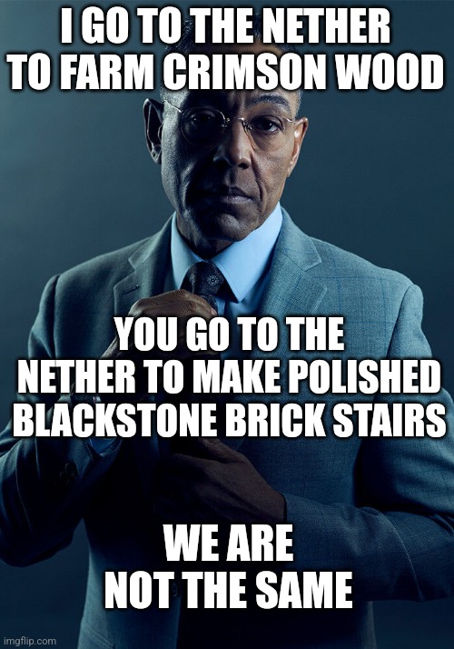 Gus Fring we are not the same | I GO TO THE NETHER TO FARM CRIMSON WOOD YOU GO TO THE NETHER TO MAKE POLISHED BLACKSTONE BRICK STAIRS WE ARE NOT THE SAME | image tagged in gus fring we are not the same | made w/ Imgflip meme maker