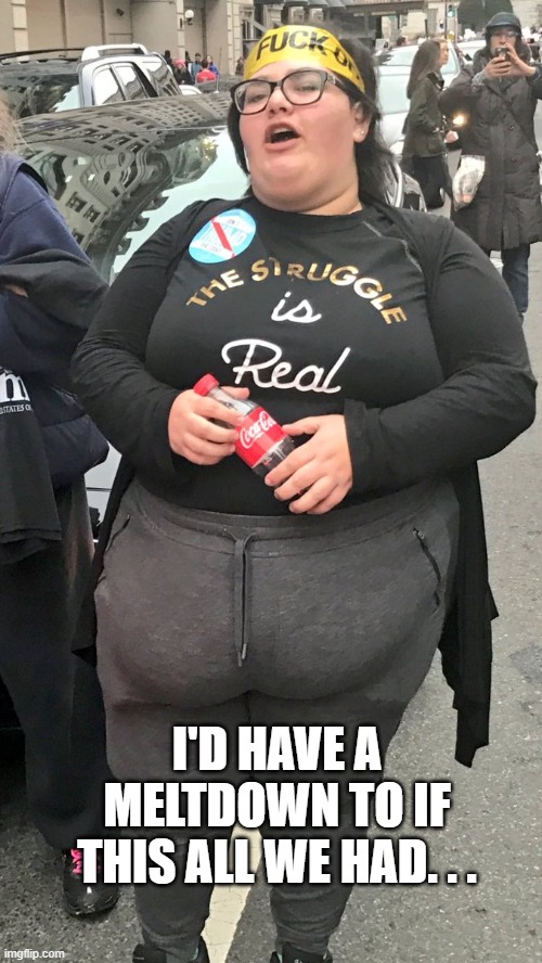 Front Butt | I'D HAVE A MELTDOWN TO IF THIS ALL WE HAD. . . | image tagged in front butt | made w/ Imgflip meme maker