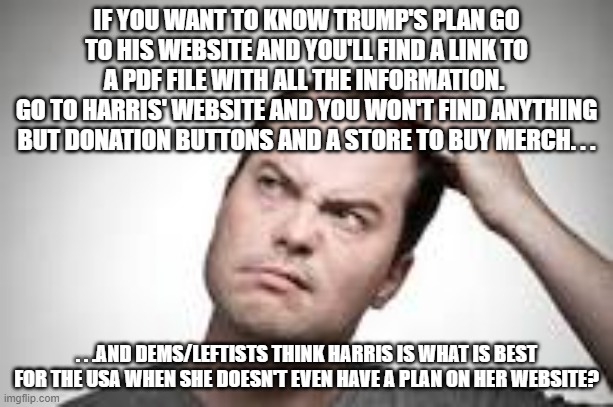 Anyway it's not like dem voters have a choice in the matter of who their candidate is. . . | IF YOU WANT TO KNOW TRUMP'S PLAN GO TO HIS WEBSITE AND YOU'LL FIND A LINK TO A PDF FILE WITH ALL THE INFORMATION. 
GO TO HARRIS' WEBSITE AND YOU WON'T FIND ANYTHING BUT DONATION BUTTONS AND A STORE TO BUY MERCH. . . . . .AND DEMS/LEFTISTS THINK HARRIS IS WHAT IS BEST FOR THE USA WHEN SHE DOESN'T EVEN HAVE A PLAN ON HER WEBSITE? | image tagged in man scratching head,donald trump,kamala harris,election,politics,political meme | made w/ Imgflip meme maker