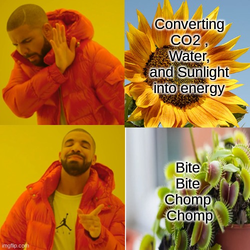 Agriculture | Converting CO2 , Water, and Sunlight into energy; Bite 
Bite 
Chomp 
Chomp | image tagged in memes,drake hotline bling | made w/ Imgflip meme maker