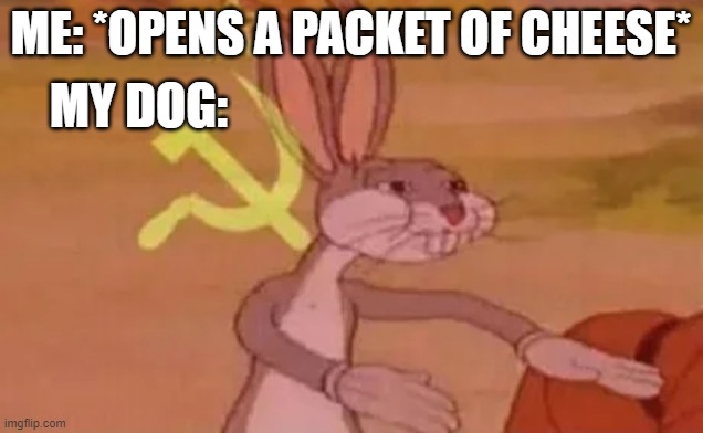 Our cheese | ME: *OPENS A PACKET OF CHEESE*; MY DOG: | image tagged in bugs bunny communist,memes,funny,lol,gif,not really a gif | made w/ Imgflip meme maker