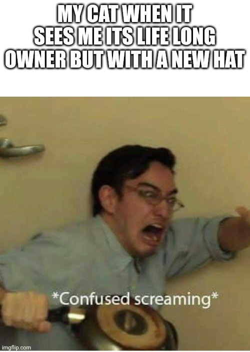 Welp time to start this relationship over | MY CAT WHEN IT SEES ME ITS LIFE LONG OWNER BUT WITH A NEW HAT | image tagged in confused screaming,cats,new hat | made w/ Imgflip meme maker