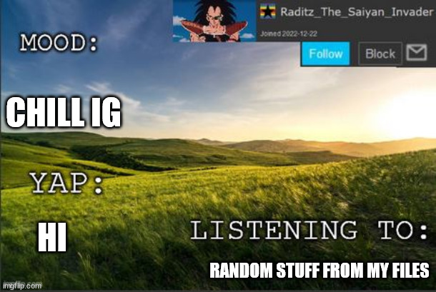 temp raditz | CHILL IG; HI; RANDOM STUFF FROM MY FILES | image tagged in temp raditz | made w/ Imgflip meme maker