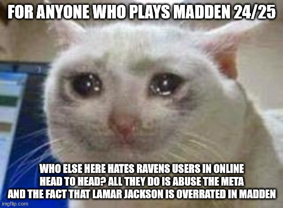 i use the bucs jags and rams | FOR ANYONE WHO PLAYS MADDEN 24/25; WHO ELSE HERE HATES RAVENS USERS IN ONLINE HEAD TO HEAD? ALL THEY DO IS ABUSE THE META AND THE FACT THAT LAMAR JACKSON IS OVERRATED IN MADDEN | image tagged in sad cat | made w/ Imgflip meme maker