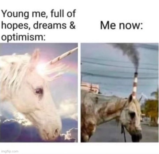 for real | image tagged in funny,meme,unicorn,then and now,me | made w/ Imgflip meme maker