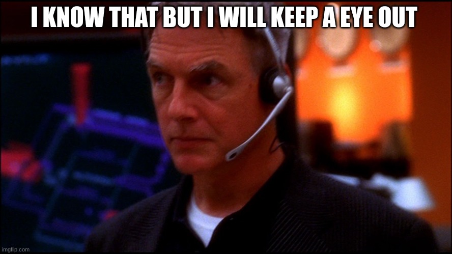 gibbs | I KNOW THAT BUT I WILL KEEP A EYE OUT | image tagged in gibbs | made w/ Imgflip meme maker