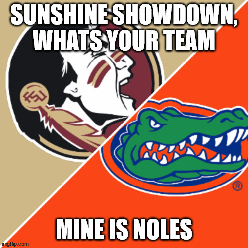 sunshine showdown | SUNSHINE SHOWDOWN, WHATS YOUR TEAM; MINE IS NOLES | image tagged in sunshine showdown | made w/ Imgflip meme maker