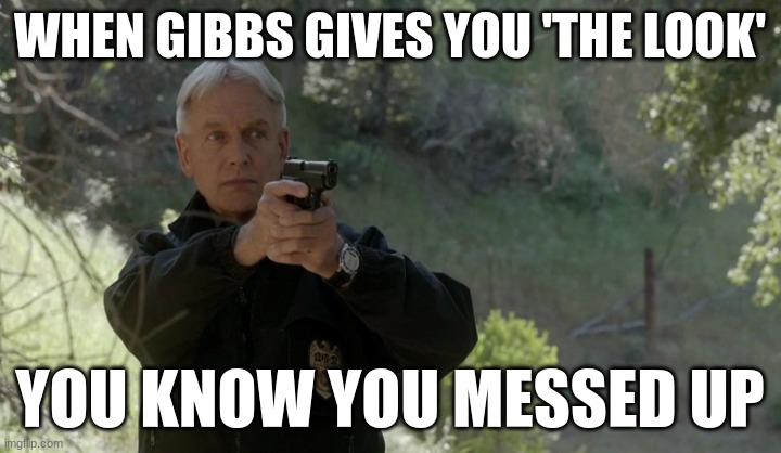 gibbs | WHEN GIBBS GIVES YOU 'THE LOOK'; YOU KNOW YOU MESSED UP | image tagged in gibbs | made w/ Imgflip meme maker