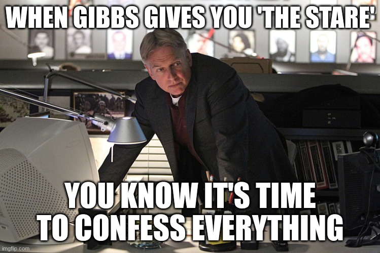 gibbs | WHEN GIBBS GIVES YOU 'THE STARE'; YOU KNOW IT'S TIME TO CONFESS EVERYTHING | image tagged in gibbs | made w/ Imgflip meme maker