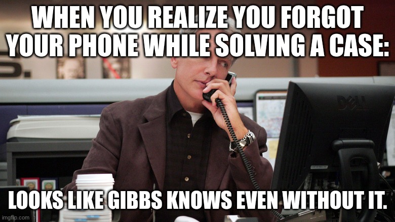 gibbs | WHEN YOU REALIZE YOU FORGOT YOUR PHONE WHILE SOLVING A CASE:; LOOKS LIKE GIBBS KNOWS EVEN WITHOUT IT. | image tagged in gibbs | made w/ Imgflip meme maker