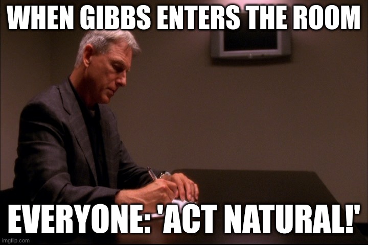 gibbs | WHEN GIBBS ENTERS THE ROOM; EVERYONE: 'ACT NATURAL!' | image tagged in gibbs | made w/ Imgflip meme maker