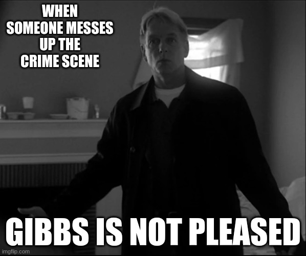 gibbs | WHEN SOMEONE MESSES UP THE CRIME SCENE; GIBBS IS NOT PLEASED | image tagged in gibbs | made w/ Imgflip meme maker