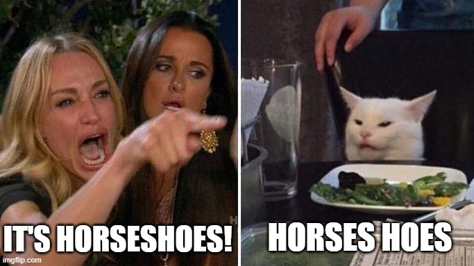 Horses Wear What?! | IT'S HORSESHOES! HORSES HOES | image tagged in angry lady cat,horseshoes,horses hoes | made w/ Imgflip meme maker