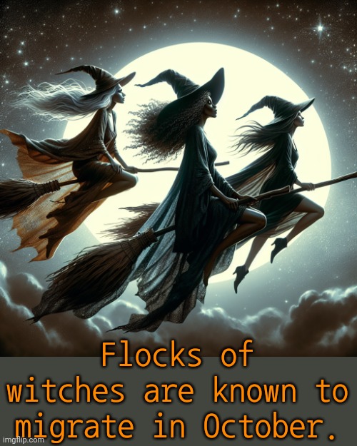 Fun fact. | Flocks of witches are known to migrate in October. | image tagged in witches flying through the sky,beautiful nature,broom,i love halloween | made w/ Imgflip meme maker