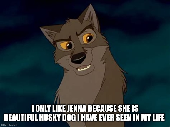 I Only Like Jenna | I ONLY LIKE JENNA BECAUSE SHE IS BEAUTIFUL HUSKY DOG I HAVE EVER SEEN IN MY LIFE | image tagged in balto | made w/ Imgflip meme maker