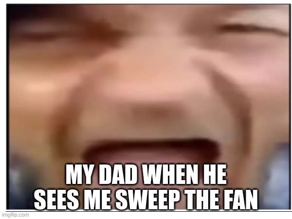 I'm sweeping | MY DAD WHEN HE SEES ME SWEEP THE FAN | image tagged in stop reading the tags | made w/ Imgflip meme maker