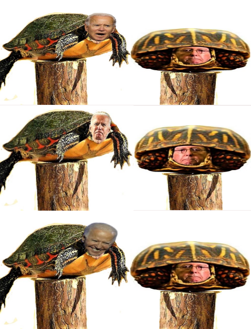 Joe Biden and Mitch McConnell, 2 old useless turtles Blank Meme Template