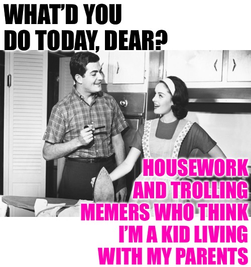 GenX Housewife Life | WHAT’D YOU DO TODAY, DEAR? HOUSEWORK AND TROLLING MEMERS WHO THINK I’M A KID LIVING WITH MY PARENTS | image tagged in vintage husband and wife,humor,trolling,funny memes,hobbies,housewife | made w/ Imgflip meme maker