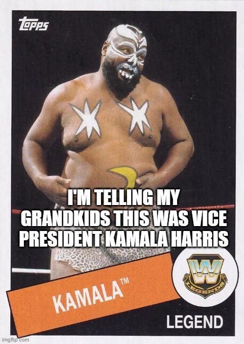 The REAL KaMAla Harris | I'M TELLING MY GRANDKIDS THIS WAS VICE PRESIDENT KAMALA HARRIS | image tagged in the real kamala | made w/ Imgflip meme maker