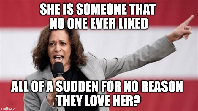 Kamala manufactured hype! | SHE IS SOMEONE THAT 
NO ONE EVER LIKED; ALL OF A SUDDEN FOR NO REASON 
THEY LOVE HER? | image tagged in kamala harris,memes,democrats,election,fake,rotten | made w/ Imgflip meme maker