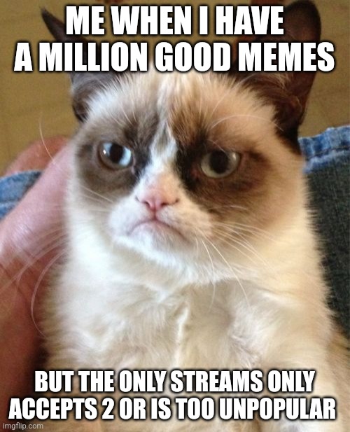 Grumpy Cat Meme | ME WHEN I HAVE A MILLION GOOD MEMES; BUT THE ONLY STREAMS ONLY ACCEPTS 2 OR IS TOO UNPOPULAR | image tagged in memes,grumpy cat | made w/ Imgflip meme maker