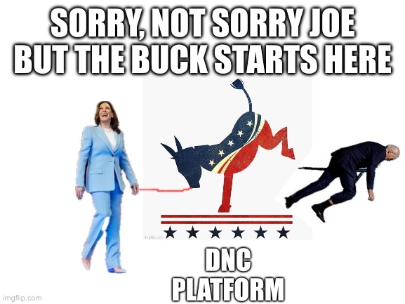 Buck Joe Biden | SORRY, NOT SORRY JOE BUT THE BUCK STARTS HERE; DNC
PLATFORM | image tagged in dnc bucks joe biden,kamala harris,2024 election | made w/ Imgflip meme maker