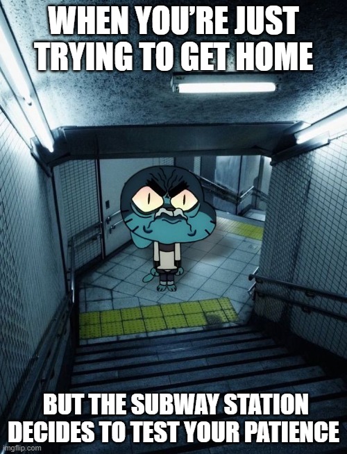 subway station | WHEN YOU’RE JUST TRYING TO GET HOME; BUT THE SUBWAY STATION DECIDES TO TEST YOUR PATIENCE | image tagged in memes | made w/ Imgflip meme maker