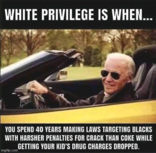 White privilege... | image tagged in white privilege,crooked,joe biden | made w/ Imgflip meme maker