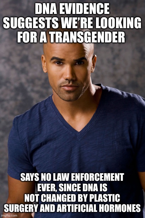 Criminal Minds Shemar Moore | DNA EVIDENCE SUGGESTS WE’RE LOOKING FOR A TRANSGENDER SAYS NO LAW ENFORCEMENT EVER, SINCE DNA IS NOT CHANGED BY PLASTIC SURGERY AND ARTIFICI | image tagged in criminal minds shemar moore | made w/ Imgflip meme maker