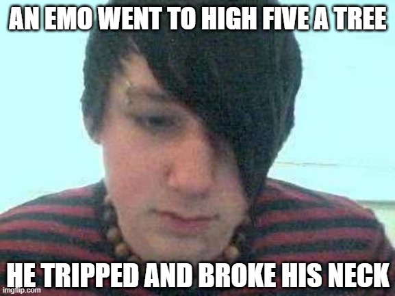 Left Him Hangin | AN EMO WENT TO HIGH FIVE A TREE; HE TRIPPED AND BROKE HIS NECK | image tagged in emo kid | made w/ Imgflip meme maker