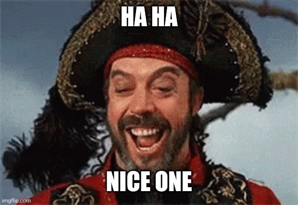 TIM CURRY PIRATE | HA HA NICE ONE | image tagged in tim curry pirate | made w/ Imgflip meme maker